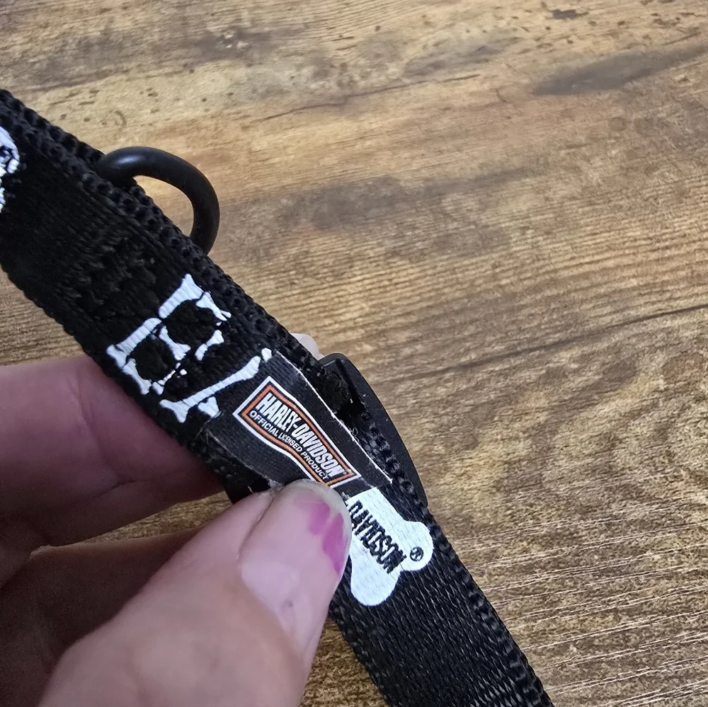 Vintage Harley Davidson 2002 Black 'Bad to the Bone' Dog Collar